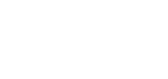 Flanders investment & trade logo
